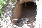 Sambha, BSF found 20 meter tunnel from Pakistan in Sambha J&K, bsf found 20 meter tunnel from pakistan in sambha j k, Pakistan rangers
