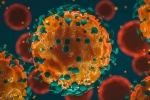 coronavirus new cases, Coronavirus, 37 875 new coronavirus cases reported in india, Coronavirus deaths