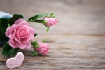 long distance mothers day gifts, top 10 mother's day gift ideas, 8 ways to send love to your mom on mother s day even when you are away from home, Microwave