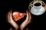 Hepatic Cancer treatment, Hepatic Cancer treatment, coffee consumption helps in protecting boozers livers, Coffee consumption