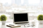 ecology, stress, a plant in your office can help in preventing sick days says experts, Work place
