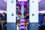Air New Zealand Bunk Beds, Air New Zealand, air new zealand introduces bunk beds in economy flights, Animal