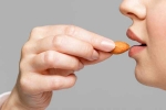 Almonds latest breaking, Almonds new updates, are almonds good for you, Healthy diet