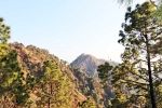 Kasauli, Kasauli tips, amazing things to do and see in kasauli, Opportunity