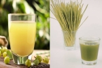 Amla Juice Vs Wheatgrass Juice comparision, Amla Juice Vs Wheatgrass Juice comparision, amla juice vs wheatgrass juice for fatty liver, Cold
