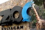 nurseries and aquariums, Coronavirus lockdown, animals abandoned during coronavirus lockdown are rescued by a zoo in mexico, Mamma