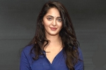 NTR, NTR, rrr to have a cameo of anushka, Anushka shetty