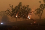 rains, Australia, australia fires warnings of huge blazes ahead despite raining, Food bank