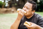Bread for weightloss health benefits, Bread for weightloss for health, will bread help in weightloss, Losing weight