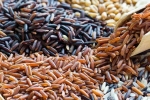 Brown Rice, Brown Rice Vs Black Rice comparison, brown rice vs black rice which one is healthier, Paris
