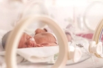 early caffeine group, brain, caffeine therapy can boost brain development in preemies study, Journal of pediatrics