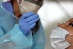 Frequent and rapid COVID-19 testing, Frequent and rapid COVID-19 testing, study says quick testing can erase covid 19 within weeks, Antigen test