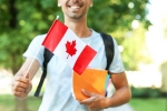 PG Courses Canada, Canada Work Permit PG Courses, canada to implement revised work permit for pg courses, Refugees