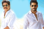 Bangarraju release news, Bangarraju release news, ten days worldwide collections of bangarraju, Kalyan krishna