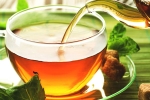 green tea, tea, is consuming tea linked to immunity, Food options