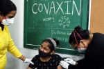 Covaxin, Covaxin teens impact, covaxin infected 50 percent of the teens, Typhoid