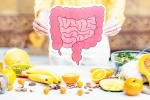 Better Gut Health drinks, Better Gut Health news, quick and easy drinks for better gut health, Better gut health