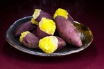 Sweet Potato breaking, Sweet Potato advise, what happens if you eat sweet potato everyday, Sweet potato