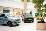 Car Sales September 2024 new updates, Car Sales September 2024 latest, electric car and suv sales reach lowest in september 2024, Fame