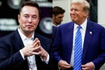 Elon Musk and Donald Trump campaign, Elon Musk and Donald Trump latest, elon musk s big bet on donald trump, Us federal judge