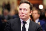 Epstein Files, Elon Musk Epstein Files updates, elon musk named in new epstein files, Commercial