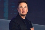 Elon Musk news, Elon Musk, elon musk talks about cage fight again, Cage fight