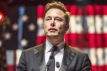 Elon Musk DOnald Trump - Matrix, Elon Musk in Trump Cabinet, is elon musk in the trump cabinet, Political parties