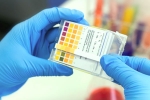 FELUDA test, genome, everything about feluda a low cost covid 19 test in india, Young mind