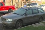 Artist shot in Chicago, Chicago artist died, famous artist shot fatally outside marquette park home, Robbery attempt