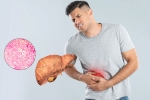 Fatty Liver, Fatty Liver medication, fatty liver can be reversed in just one month, Healthy diet