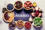 Antioxidants Food new updates, Antioxidants Food new updates, everyday foods rich in antioxidants for diabetes, Healthy diet