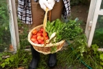 Fruits, Fruits and Veggies news, fruits and veggies that are easy to grow at home, Cinnamon