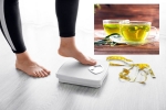 Green Tea for Weight loss recent study, Green Tea for Weight loss latest tips, can consuming green tea really help in weight loss, Eating right