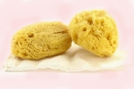sea sponges as sanitary napkins, synthetic menstrual sponge, gynecologist warns women against using sea sponges as reusable nurturing alternatives to tampons, Celine