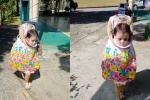 costume, Halloween 2018, halloween 2018 2 year old girl s creepy costume takes internet by storm, Halloween