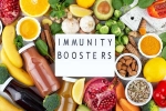Immunity Tips articles, Immunity Tips for humans, interesting science backed tips to feel your best, Maintain relationship
