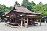 Japan Viral Mikami Shrine breaking news, Japan Viral Mikami Shrine latest breaking, why are travellers flocking to japan s viral mikami shrine, Pop