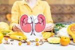 Kidneys Health, Kidneys Health medication, how to keep your kidneys healthy, Stuffed
