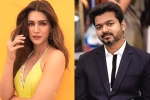 Kriti Sanon with Vamshi Paidipally, Dil Raju, kriti sanon to romance vijay in his next, Kadi