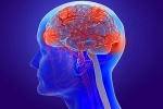 Coronavirus cases, Coronavirus new updates, coronavirus can cause long term loss of brain tissue, Memory loss