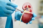 Creatinine Levels breaking updates, Lower Creatinine Levels for health, tips to lower your creatinine levels, Fibre