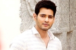 Mahesh Babu updates, Spyder news, mahesh babu to take a long break, Bharat anu nenu