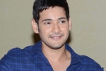 Mahesh Babu latest, Mahesh Babu new movie, mahesh babu s next updates, Bharat anu nenu