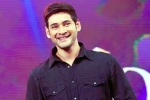 Sarkaru Vaari Paata news, Sarkaru Vaari Paata latest, bollywood beauty for mahesh babu, Bharat ane nenu