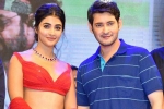 Pooja Hegde next movie, Trivikram, mahesh babu all set to romance pooja hegde again, Maharshi