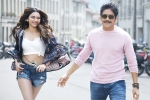 Rakul Preet Singh, Manmadhudu 2 trailer, manmadhudu 2 trailer is packed with entertainment, Manmadhudu 2