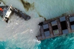 ship, vessel, everything about mauritius oil spill and india s assistance, Eco system