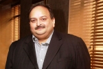 mehul choksi family, where is mehul choksi now, mehul choksi surrenders his indian passport to antigua authorities, Criminal law mehul choksi family, where is mehul choksi now, mehul choksi surrenders his indian passport to antigua authorities, Criminal law