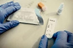 Coronavirus, Antibodies tested on monkeys, monkeys get protection against coronavirus through a prototype vaccine, The prototype hd
