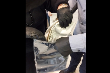 NASA Returned The Bag Of Moon Dust To Chicago Woman